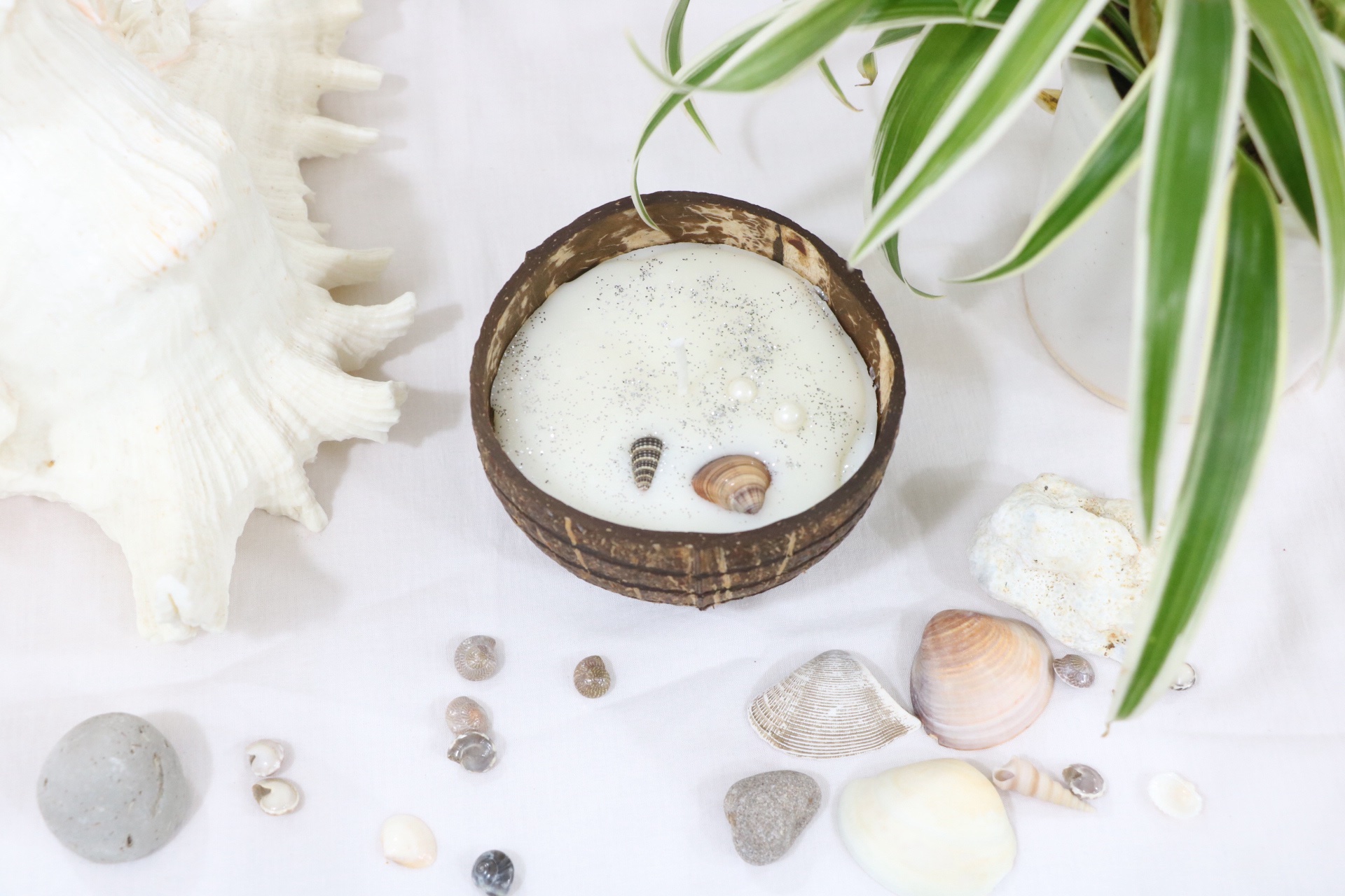 White Oceanic Coconut Shell Candle